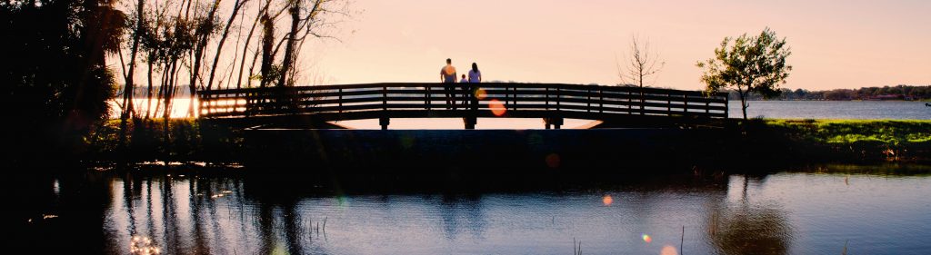 Bridge over a lake